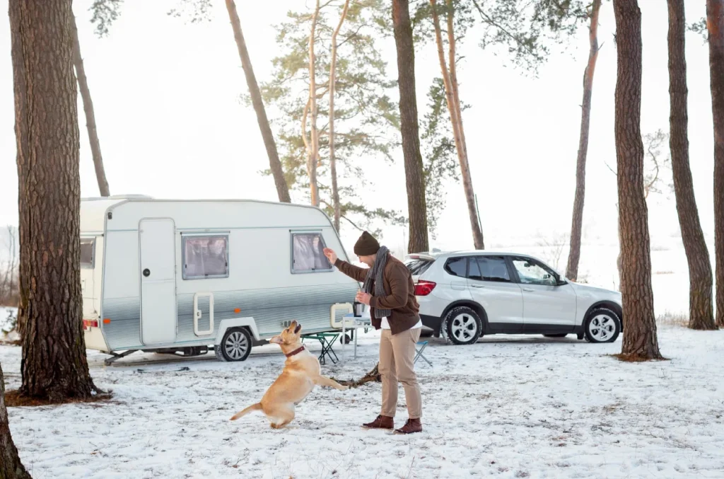 Best RV Pet Temperature Monitor for Safe Travels